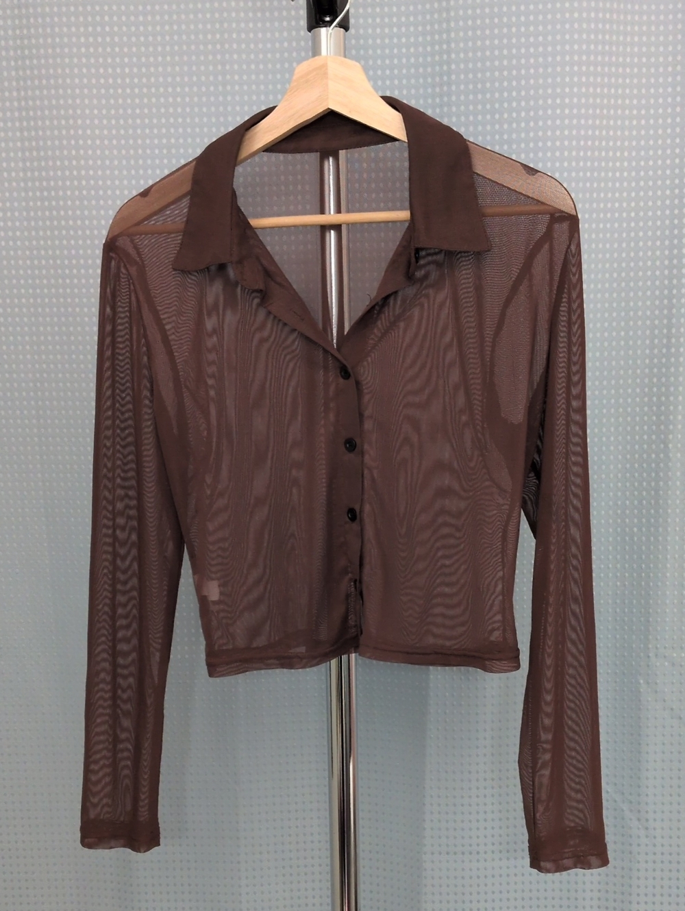 Sheer Crop Blouse